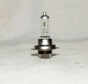 China H7 BULBS wholesale