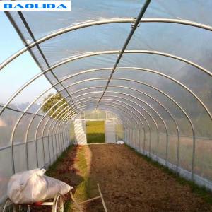 China Vegetable Growing Plastic Tunnel Greenhouse Ultraviolet Proof wholesale