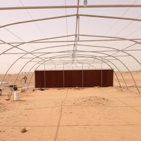 10m Width Tunnel Light Deprivation Greenhouse Single Layer With Galvanized Steel Pipe