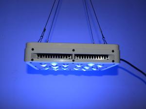 China New Apollo 4 40*5W LED Grow Light with 5W Chip wholesale