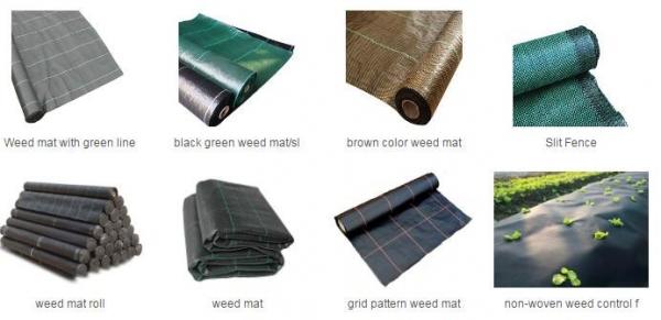 green color Plastic Ground Cover Mats mulch weed control fabric mat,Weed Barrier Around Fruit Trees PP Woven Weed Mat fo