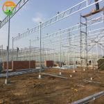American Tomato Agriculture Polycarbonate Greenhouse Equipped with Hydroponic