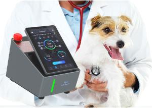 China Drug Free Diode Laser Machine 915nm Laser Treatment For Cats wholesale