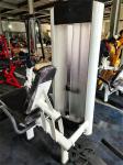 Pin Loaded Leg Extension Machine Gym Quadriceps Shins Adjustable Seated