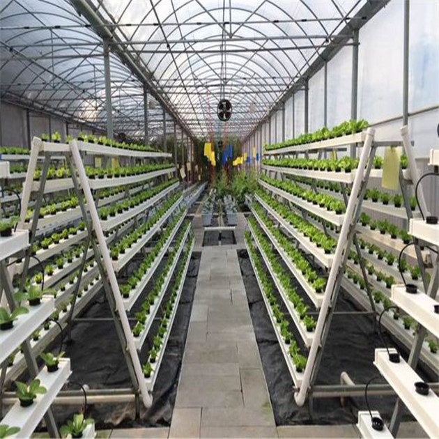 Plastic Film Automated Hydroponic Greenhouse Hanging Load 0.15KN/M2 Rainfall 140mm/h