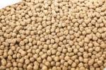 High Grade Floating Fish Feed Extruder Machine 2-12mm Pellet
