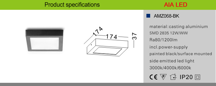 RA80 PF0.96 Surface mounted white 12W LED panel light/led downlight