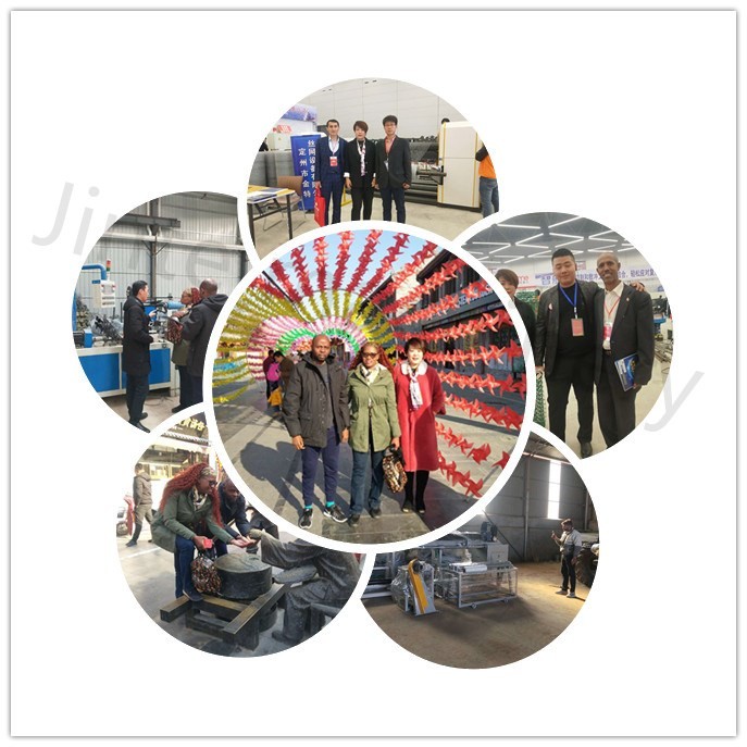 Hexagonal Wire Knitting Netting 200m/H Gabion Mesh Machine