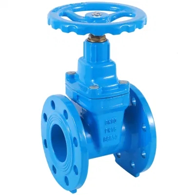 Y Type Customizable Inside Screw Stem Soft Seal Gate Valve with Stainless Steel Flange