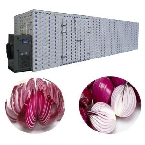 China Industrial Washing Drying Onion Processing Equipment For Fruit Vegetable wholesale