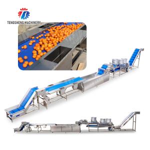 vegetable drying equipment Fruit and vegetable selection washing and drying