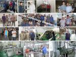Automatic Nutritional Powder Machine Couscous Making Machine 150-1000 KG/H