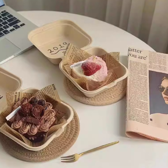 Single Cell Bagasse Lunch Box Disposable Bagasse Food Container 8 Inch