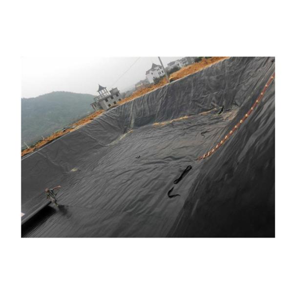 Fish Shrimp Farming Polyethylene Geomembrane Width 1m To 8m Pond Liner