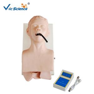 China Human Trachea Lntubation Model CPR Training Manikins In Medical Science wholesale