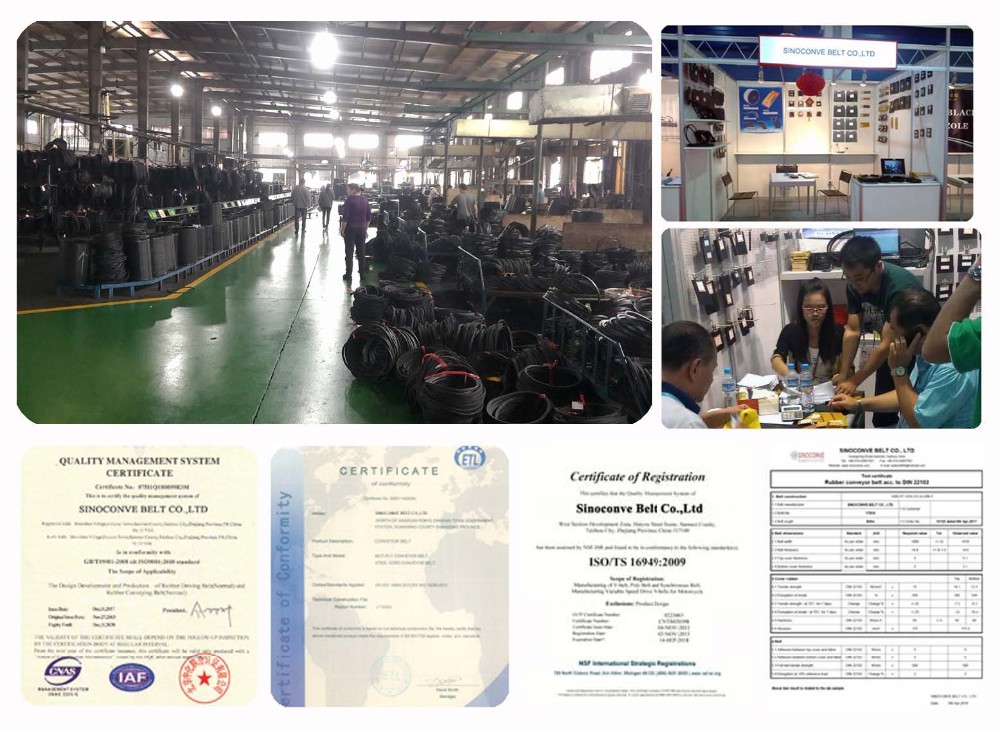 ISO/TS16949 Certified V-Belt for Diesel Engine Fan Belt in Food Beverage
