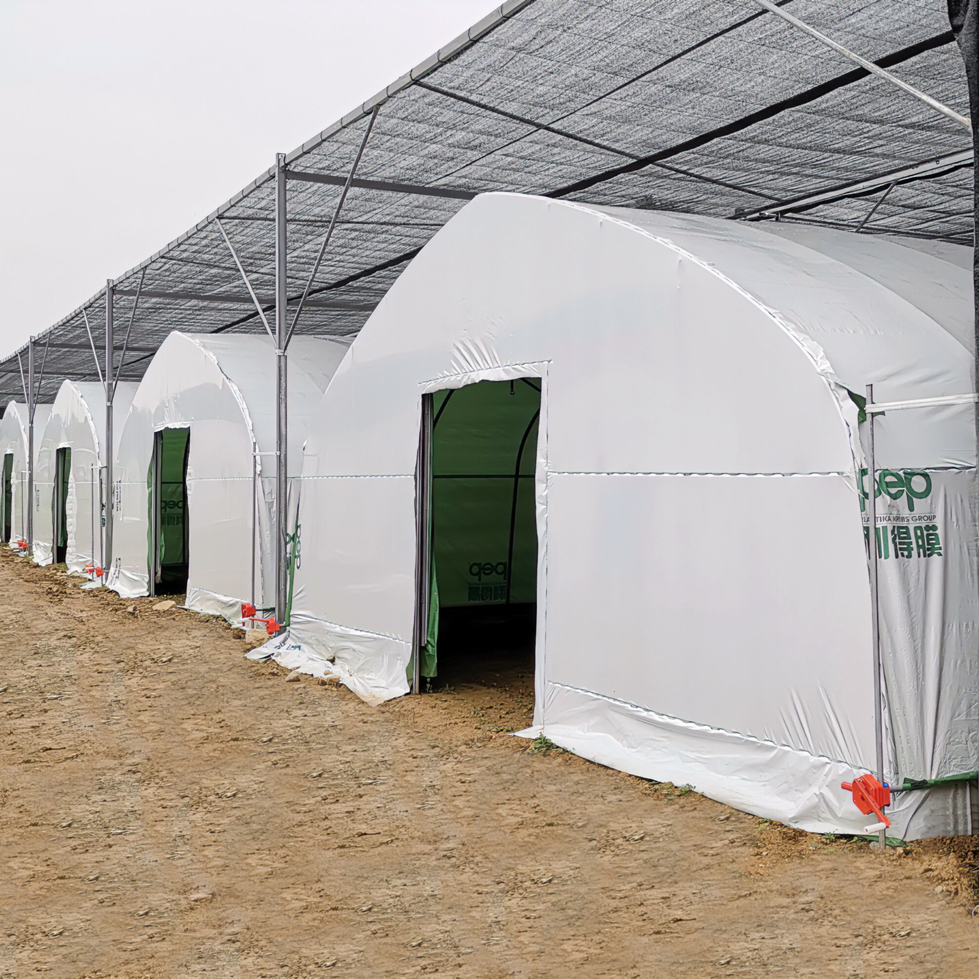 Agriculture Mushroom Management Greenhouse Planting Vegetables Fruits Single-Span Greenhouses