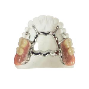 China Natrural Shade 3D Printing Fixed Removable Denture For Dentist Study wholesale