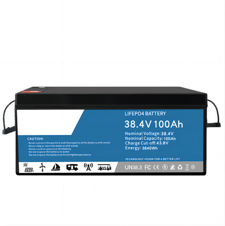 0.2C Discharging LifeP04 Lithium Battery 100ah Multifunctional For Data Center Backup