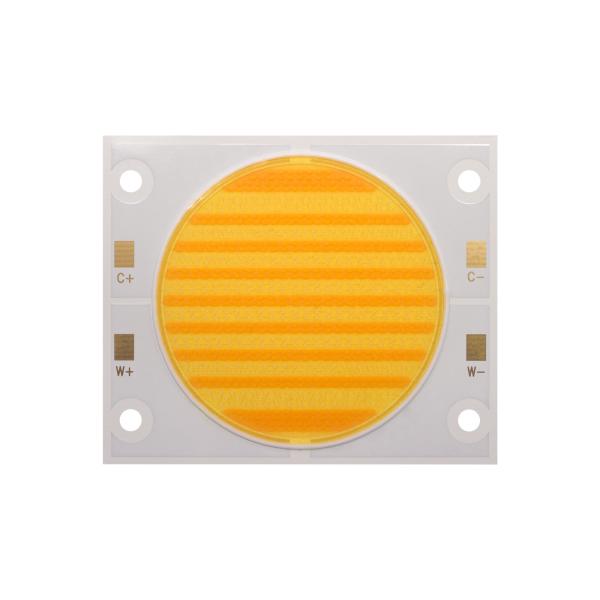 Dual Color Cob LED 200W+200W 300W+300W 3838 5454 6050 LED COB Chip 2700K 6500K