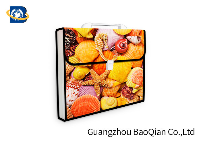 Lenticular Plastic Envelope Folder , Expanding Document Folder 3D UV Printing