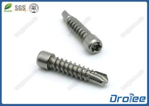 China Stainless Steel 18-8 Cheese Head Torx Drive Self Drilling Tek Screws wholesale