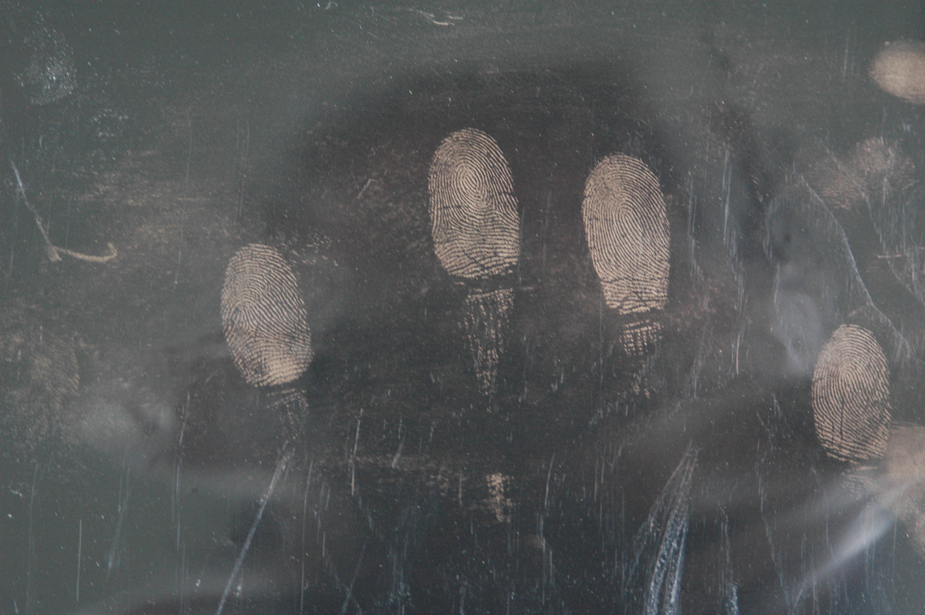 C063 Gold metallic fingerprint powder