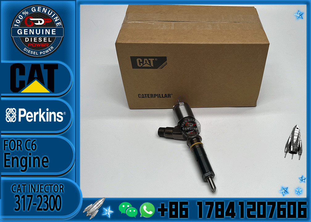 Common Rail C6 Diesel Engine Fuel Injector 317-2300 326-4700 295-9130 10R7675