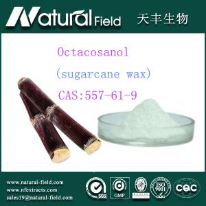 China antifatigue octacosanol sugarcane wax extract 90% wholesale