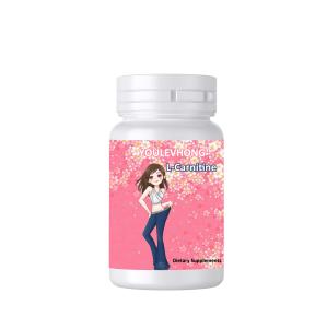 China Vegetarian Alternative L Carnitine Supplements 60 Capsules Support Fat Metabolism wholesale