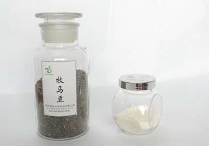 China 100% natural Thermopsis Lanceolata extract Cytisine 98% powder wholesale