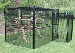 China Customized Bird Aviary /Parrot Aviary Customized Own Size wholesale