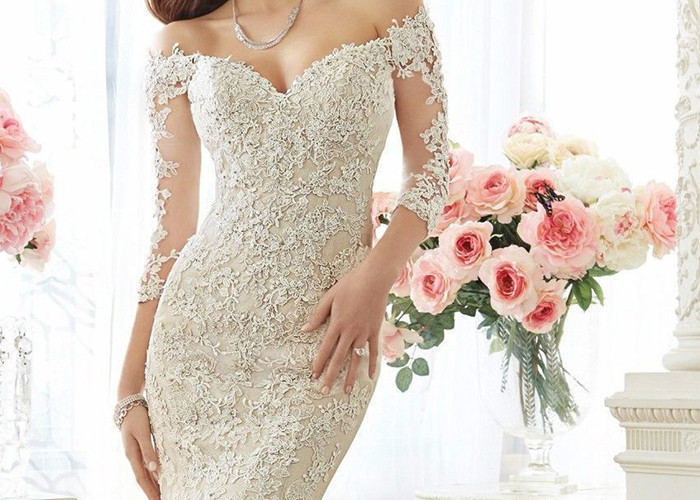 Sweetheart Mermaid Bridal Gowns / Fishtail Bridal Dress Perspective Sleeves Back