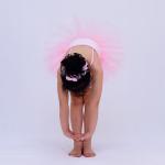 Waist Flowers Band Polyester Baby Pinky Tutu Dress Ballet Outfits For Girls
