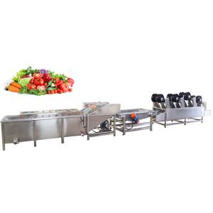 China Commercial Fruit Vegetable Processing Machine Small Automatic 300-1000kg/h wholesale