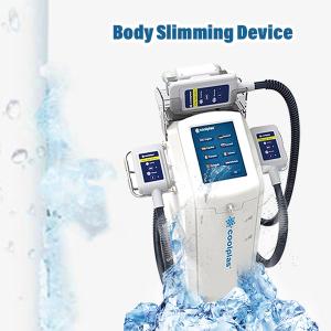 China 230VAC Cryolipolysis Slimming Machine Weight Loss wind cooling 30cm×40cm×90cm 30kg wholesale