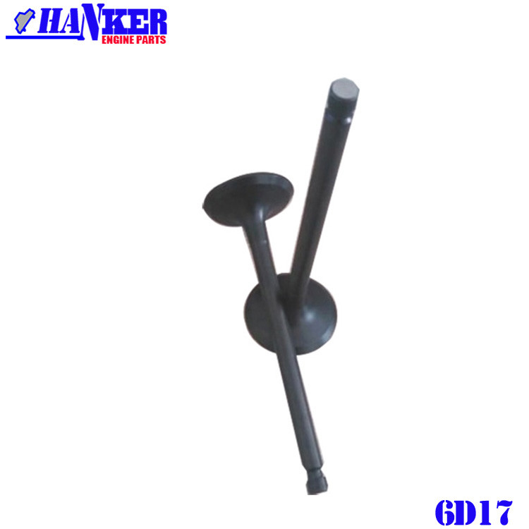 6D17 Intake Valve Exhaust Valve
