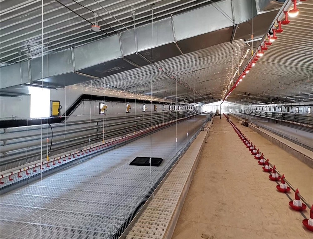 24 Holes PVC Pipe Chicken Feeders And Water Systems