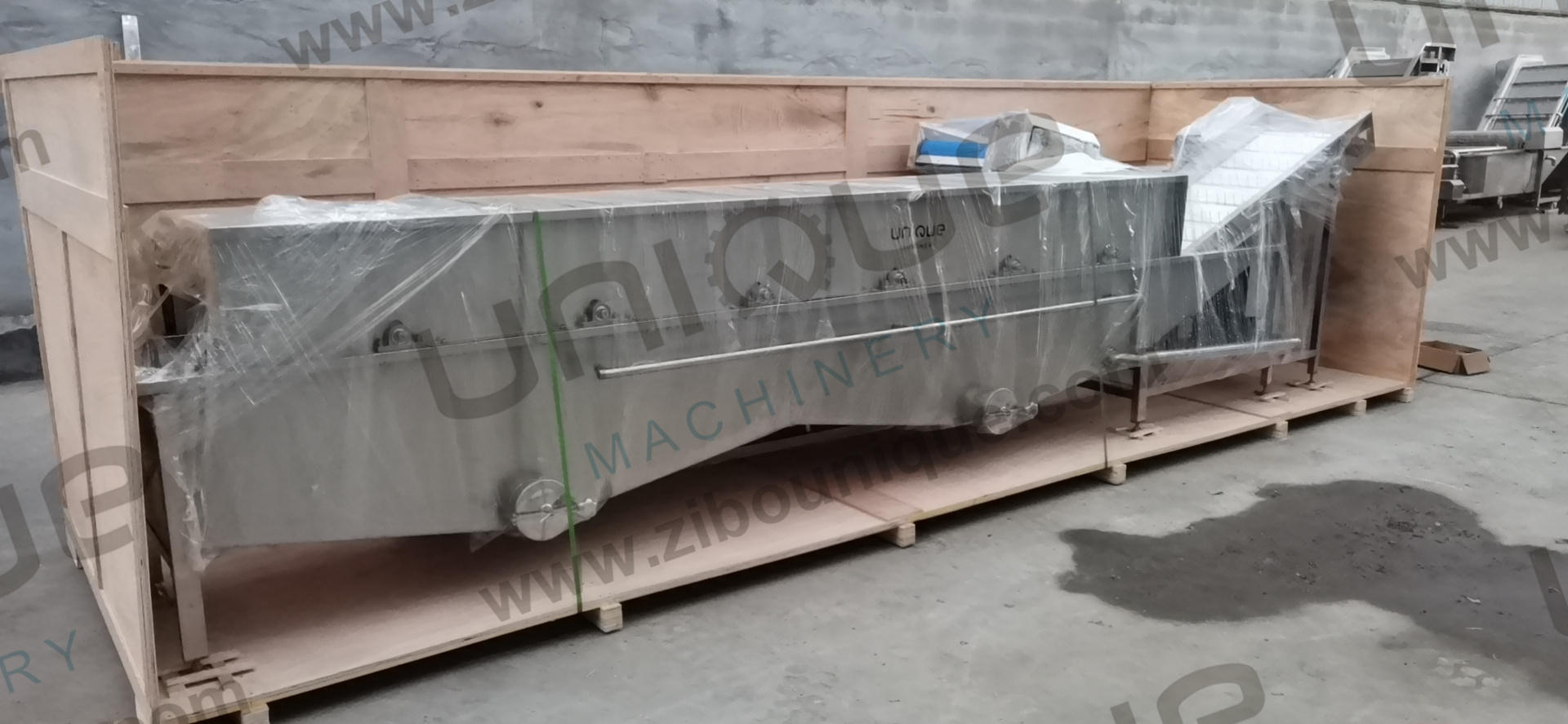 Design Alfalfa / Micro Greens Vegetable Bubble Washing Machine for Food Beverage Shops