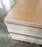 Poplar Pp laminated plywood formwork plywood