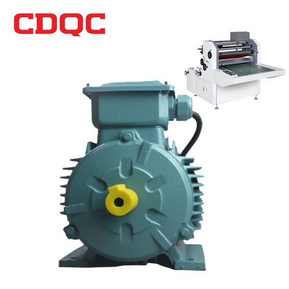 Professional Permanent Magnet Ac Motor Wholesale High Speed Induction Servo