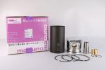 S130B-E0391 Cylinder Liner Kit
