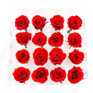 China Customized Color Everlasting Rose , New Year Love Real Preserved Roses For Crafts wholesale
