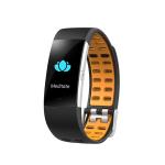 PPG ECG Replaceable Straps Smart Fitness Band