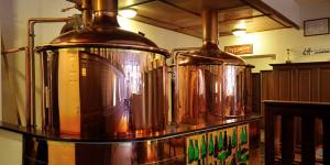 China 3000L Engineers available to serve overseas microbrewery equipment wholesale