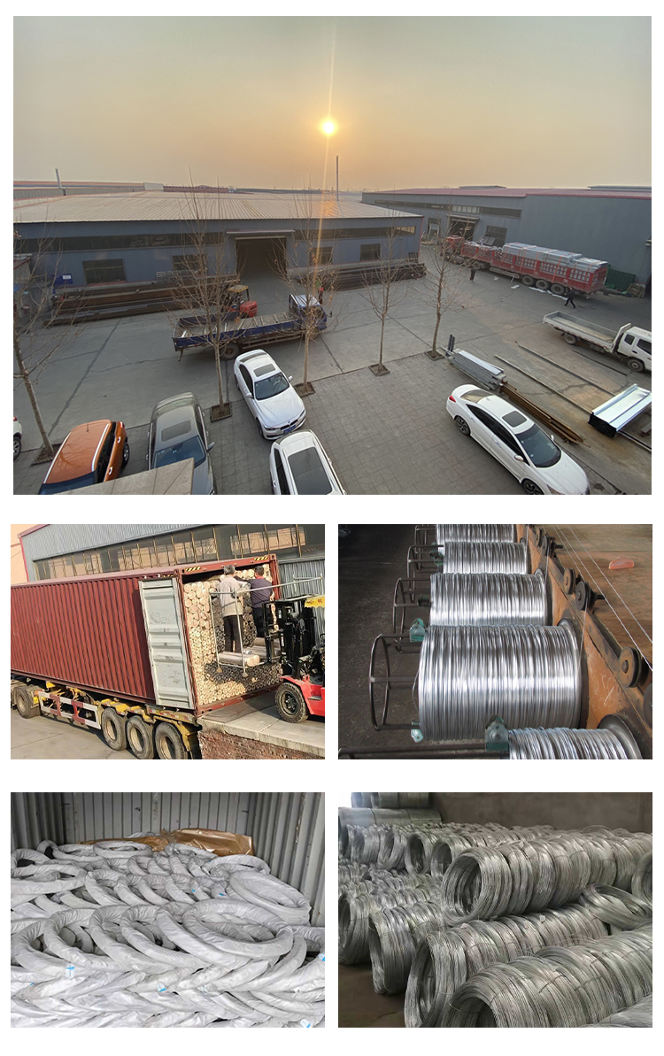 High Quality BWG16 18 Electro Galvanized Iron Carbon Steel Wire For Fonstruction And Wire Mesh