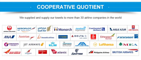100% Cotton 400g Hotel Collection Towels