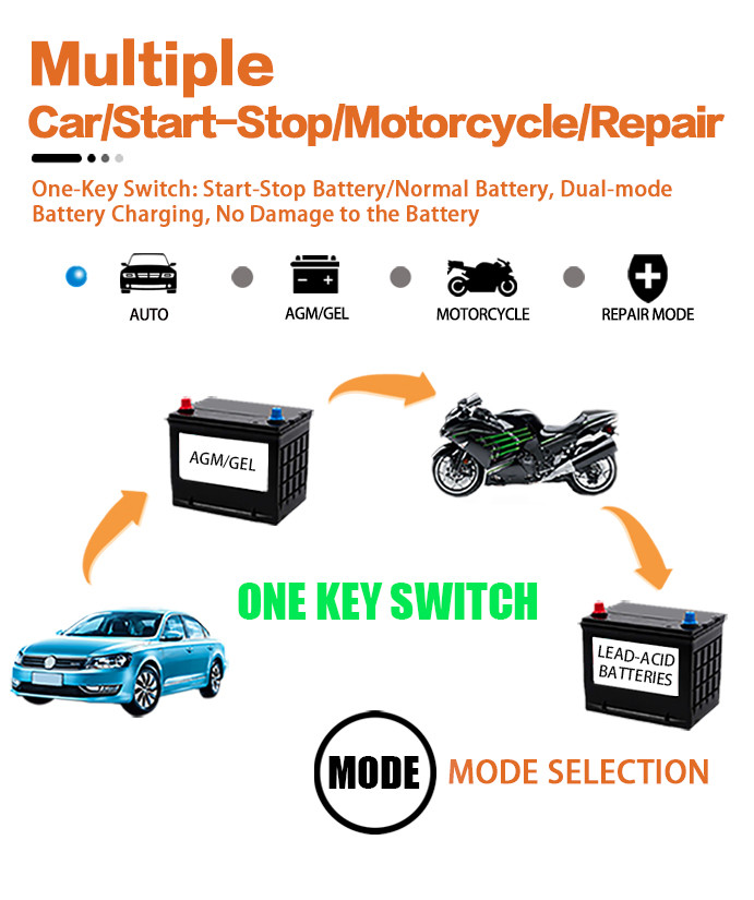 OEM GEL UPS Battery Intelligent Pulse Repair Charger 12V