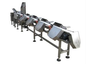 China checking scale wholesale