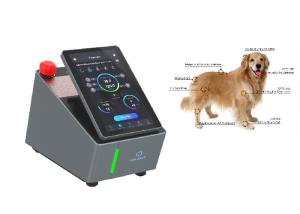 China Dogs Professional Laser Equipment CW Mode Level 4 980nm wholesale